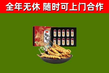 莆田回收冬虫夏草价格
