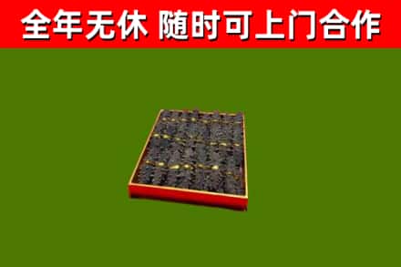 莆田回收海参